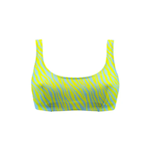 Panama - Zebra Azzurro